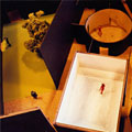 Exhumation